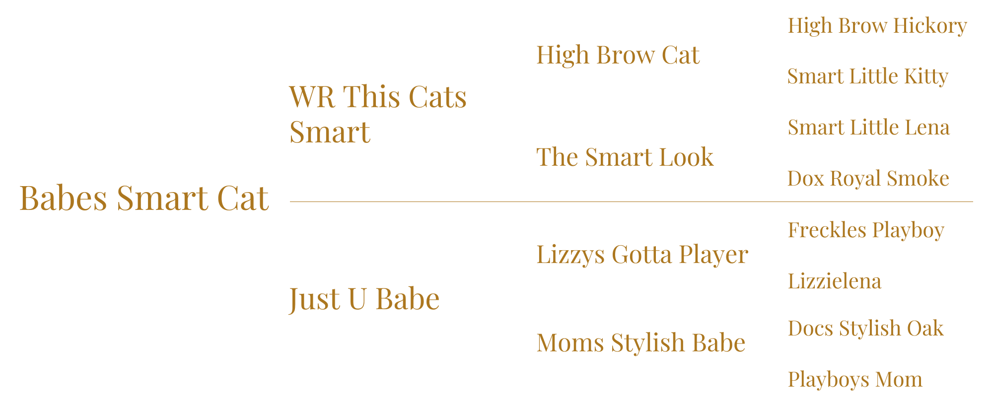 Babes Smart Cat