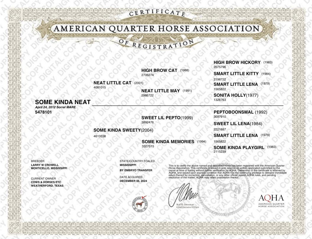 Some Kinda Neat Digital Registration